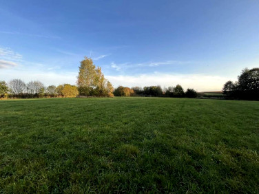 Działka siedliskowa Żernica