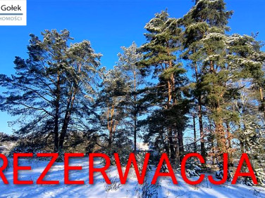 Działka Biały Bór