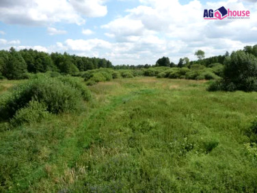 Działka siedliskowa Ciechocin