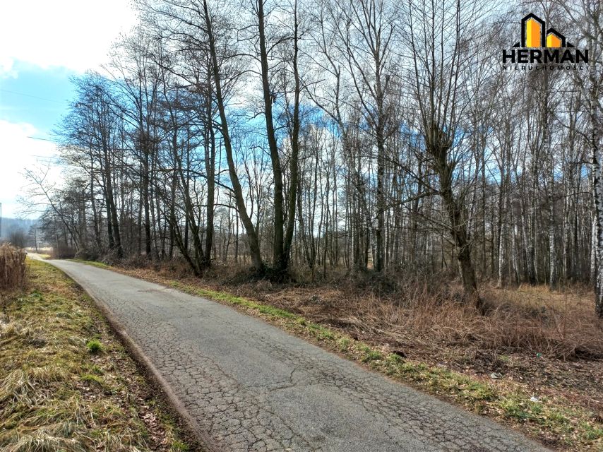 Działka leśna Wodzisław Śląski