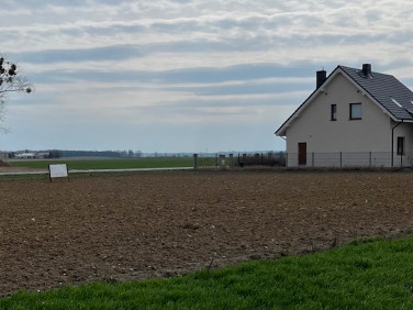 Działka budowlana Ceradz Kościelny