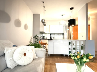 Mieszkanie apartamentowiec wynajem