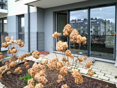 Mieszkanie Gdańsk sprzedaż