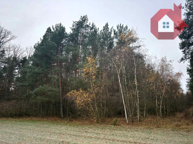 Działka Pobyłkowo Małe