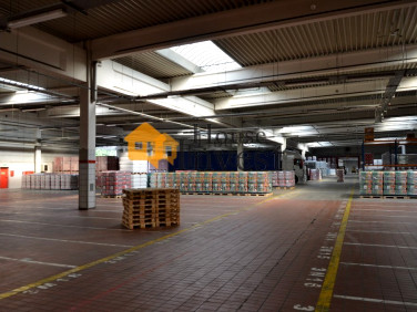 Budynek użytkowy Wrocław