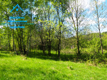 Działka rekreacyjna Grzechynia