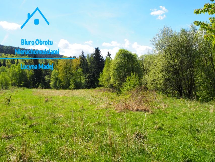 Działka leśna Grzechynia