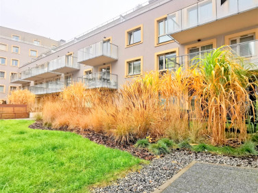 Mieszkanie blok mieszkalny sprzedaż