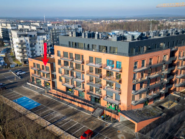 Mieszkanie Zielona Góra