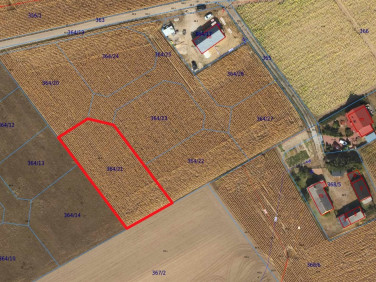 Działka budowlana Golub-Dobrzyń