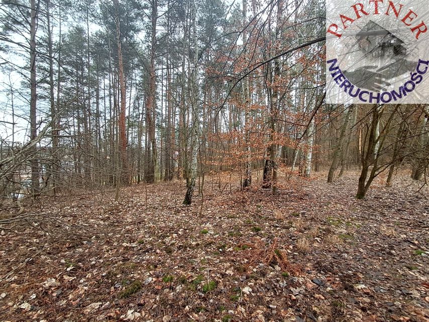 Działka leśna Jaworzno