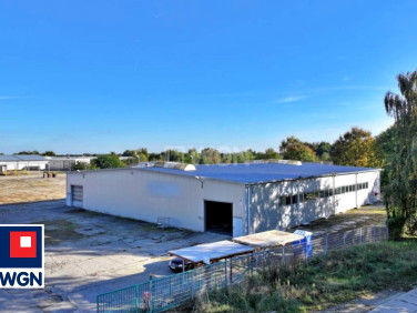 Budynek użytkowy Witnica