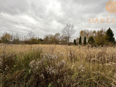 Działka SZCZUKOWICE