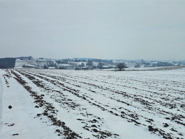 Działka siedliskowa Wronin sprzedam