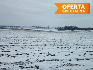 Działka siedliskowa Wronin