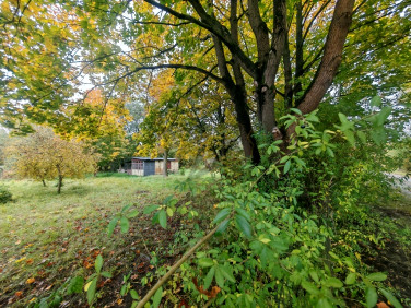 Działka rolna Łódź