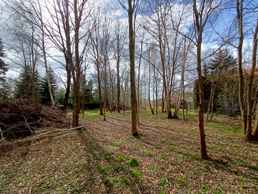 Zalesiona działka Łódź