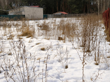 Działka budowlana Pustelnik sprzedam