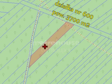 Działka leśna Bakuła sprzedam