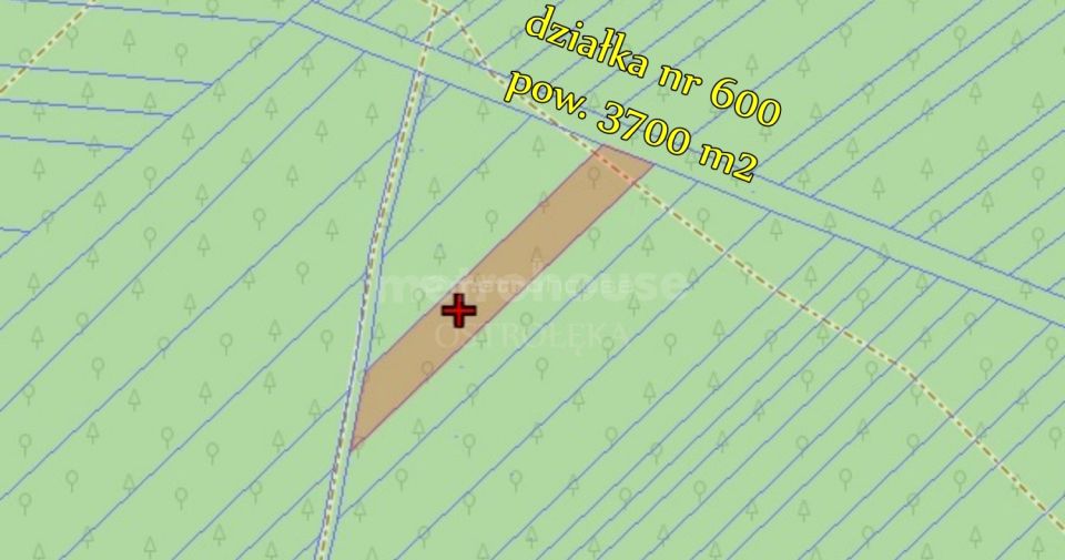 Działka leśna Bakuła sprzedam