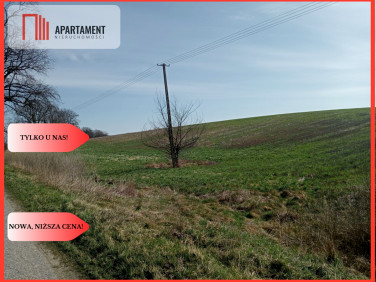 Działka budowlana Mała Cerkwica