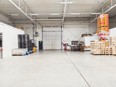 Budynek użytkowy Poznań