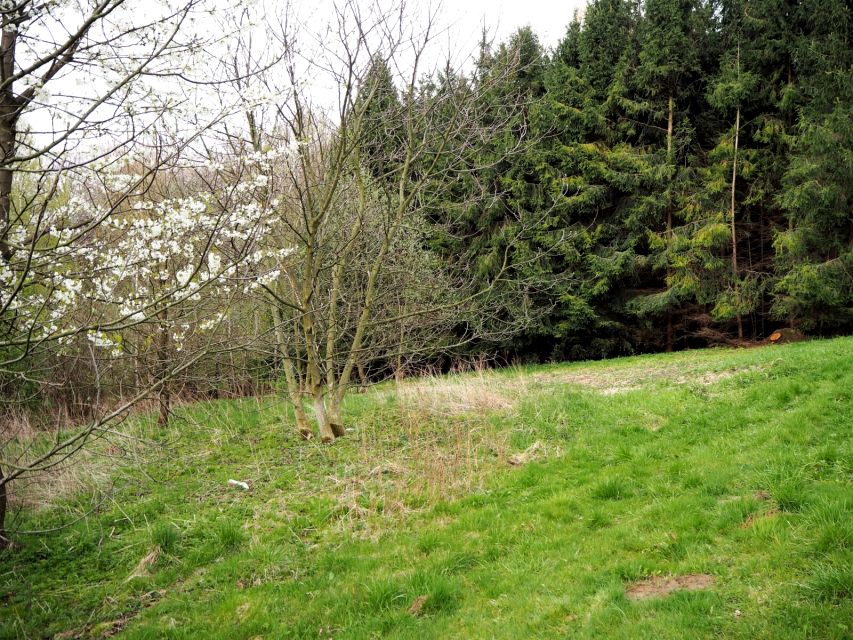 Działka rolno-leśna Tłuczań