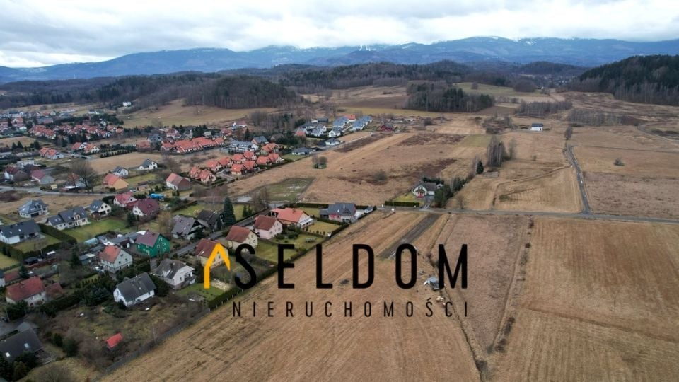 Zdjęcie 3