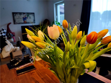 Dom Grodzisk Mazowiecki