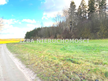 Działka rolna Szarek