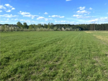 Działka budowlana Wincentów