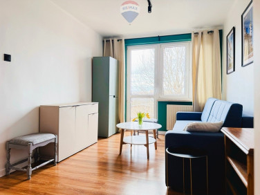 Mieszkanie Bielsko-Biała wynajem