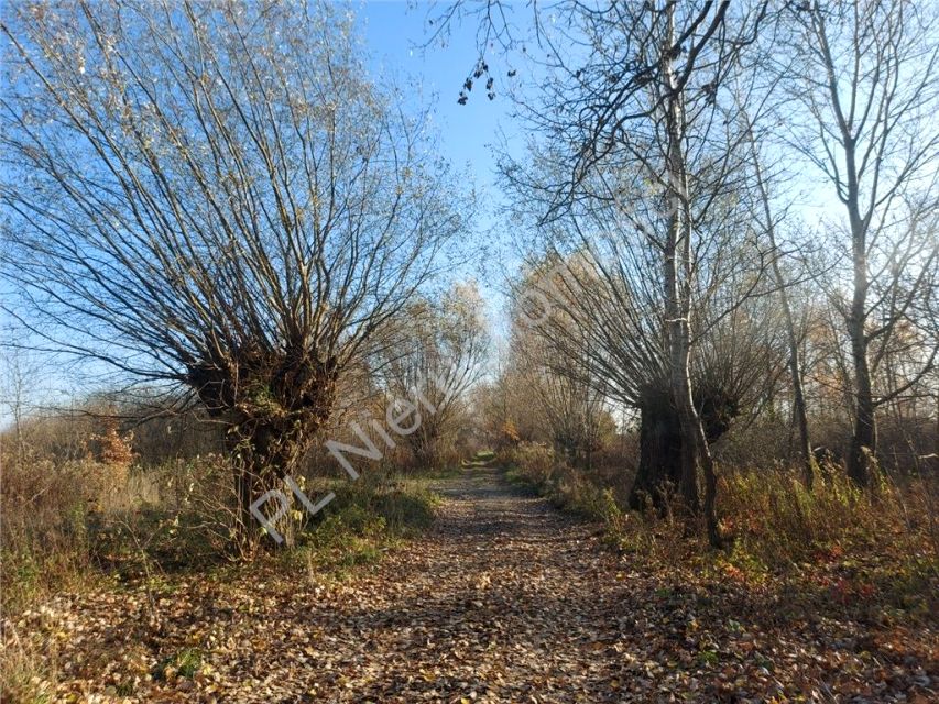 Działka budowlana Nowe Lipiny