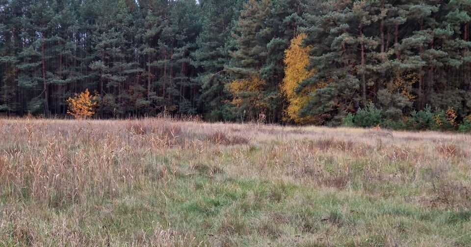 Działka budowlana Cegielnik