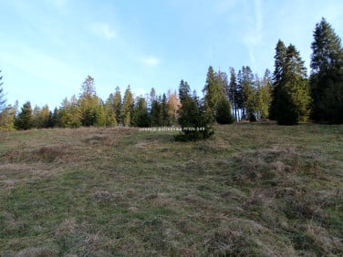 Działka Brzegi