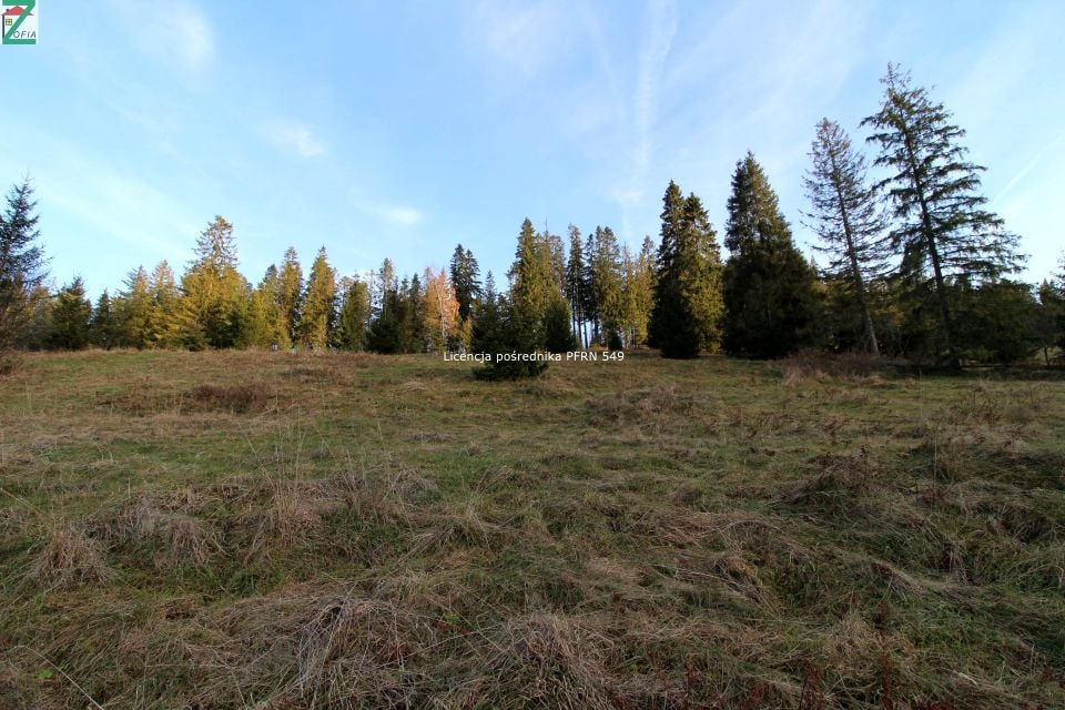 Działka Brzegi