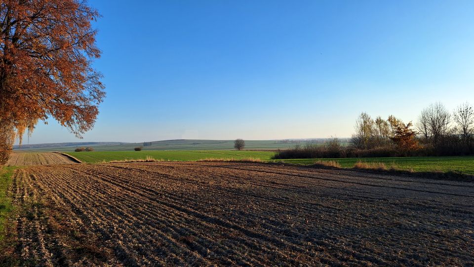 Działka Jabłonna Pierwsza