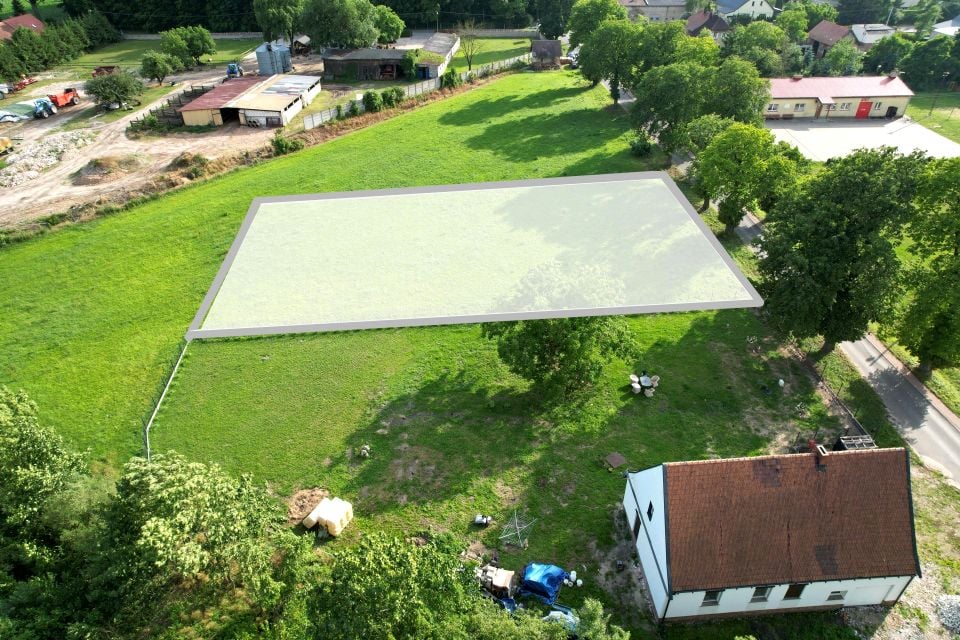 Zdjęcie 3