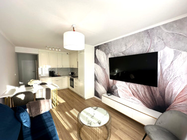 Mieszkanie Rzeszów wynajem