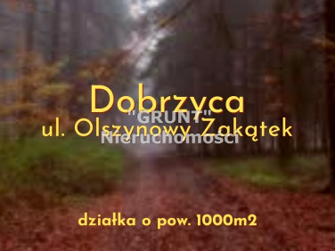 Działka Dobrzyca