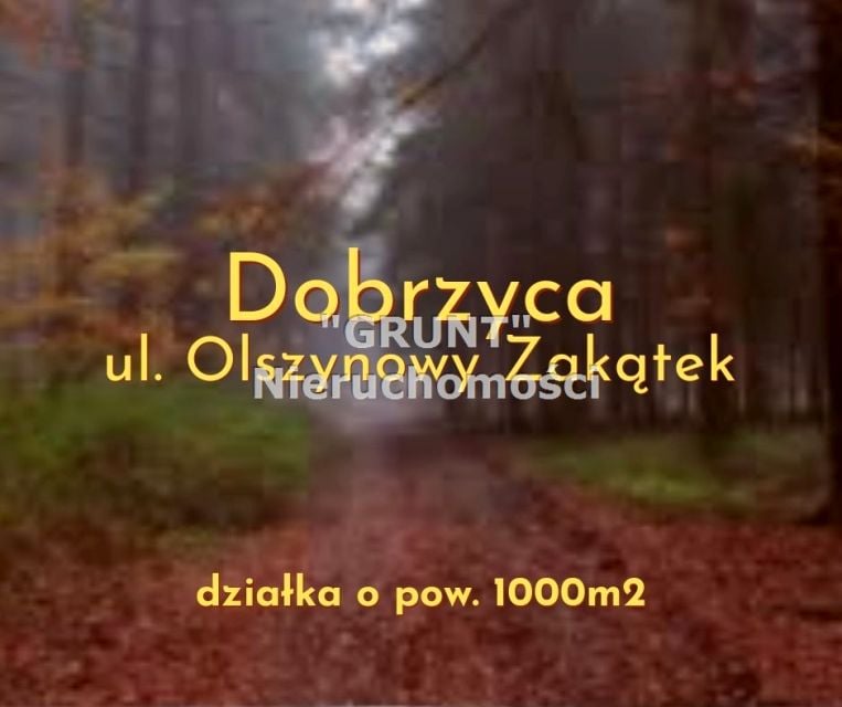 Działka Dobrzyca