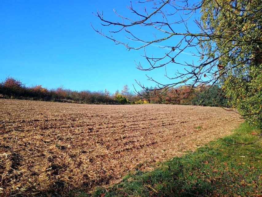 Działka Trzebnica
