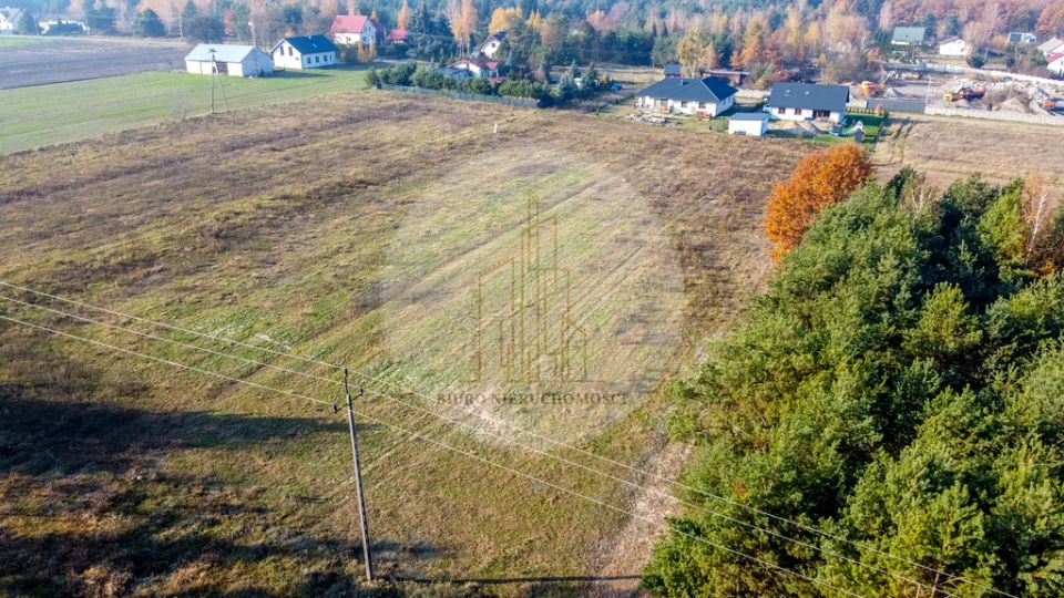 Działka przy lesie