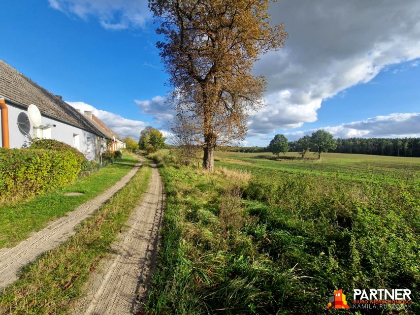 Mieszkanie przy lesie