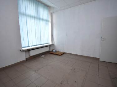 Lokal Warszawa