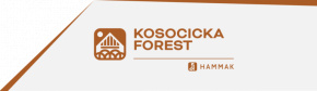 Kosocicka Forest