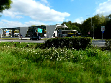 Lokal Zabrze