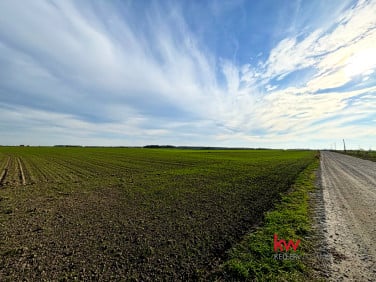 Działka budowlana Czołowo