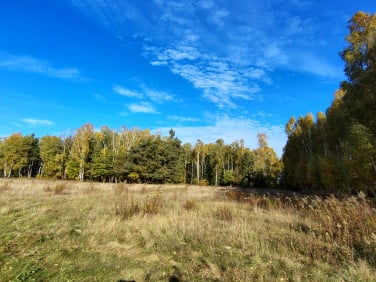 Działka inna Brzozowica