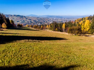 Działka Biały Dunajec